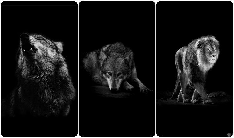 Чёрная заставка на телефон