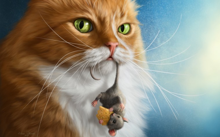 Классные котики