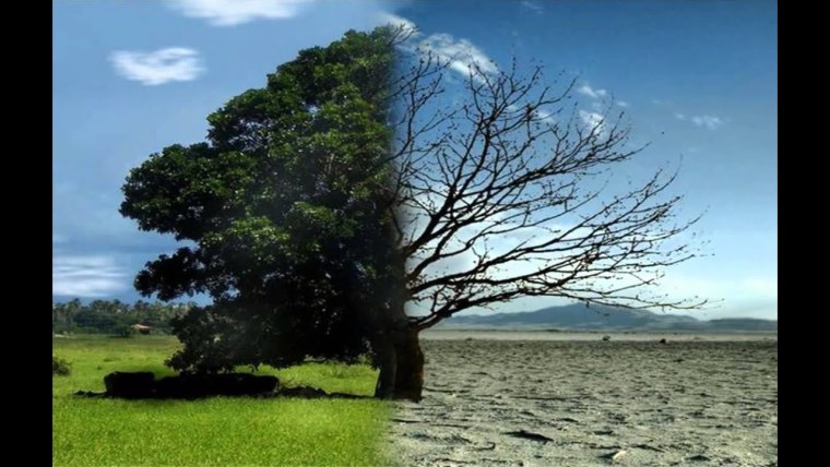 Потепление климата