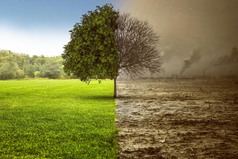 Потепление в Арктике