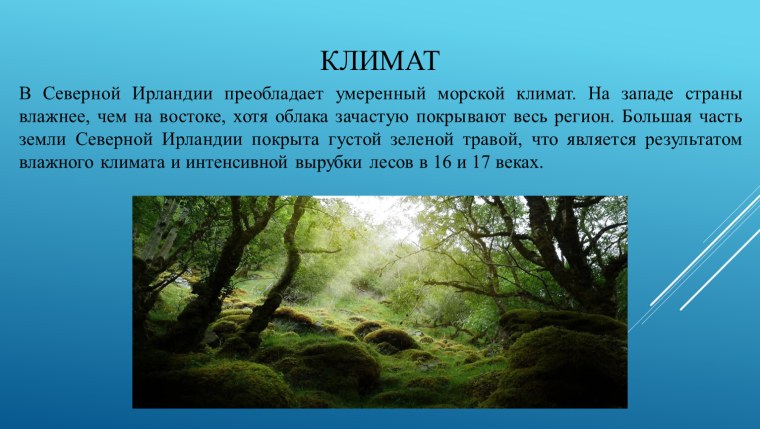 Климат жара