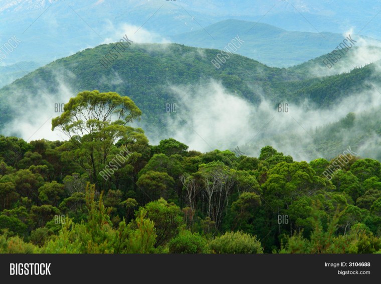 Экологические проблемы