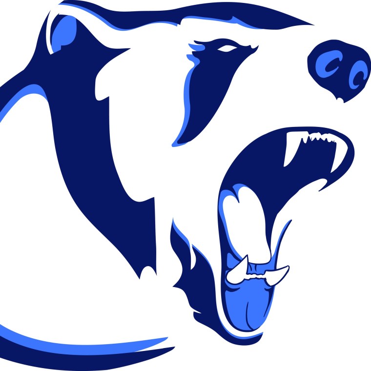 Белый медведь на земном шаре рисунок