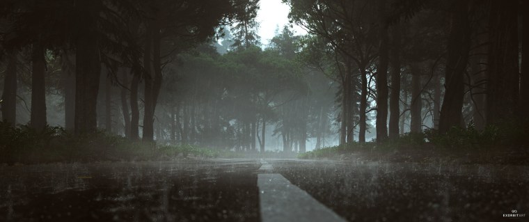 Дождь в лесу ночью