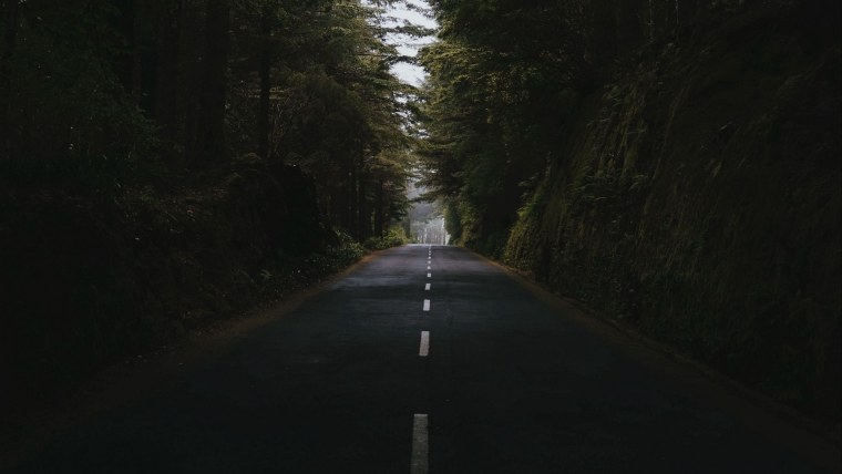 Дорога в лесу ночью