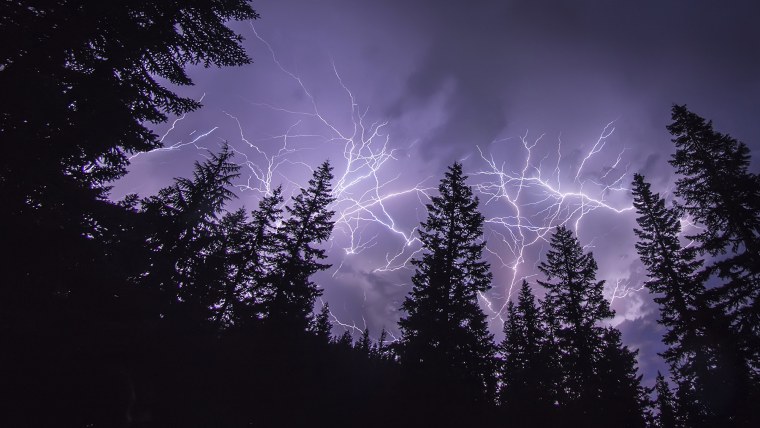 Гроза в лесу