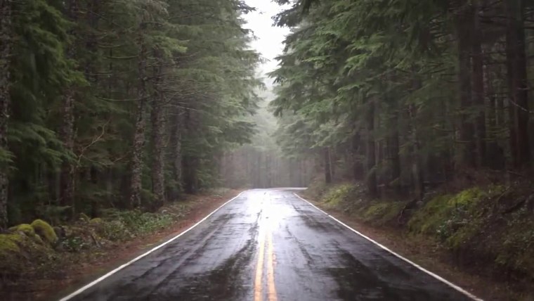 Лесная дорога