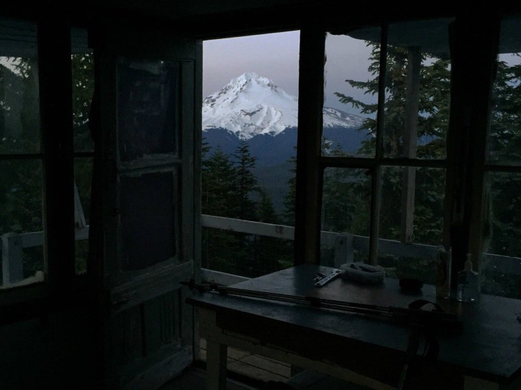 Вид из окна на лес