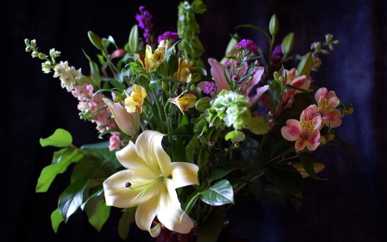 Цветочные композиции на темном фоне