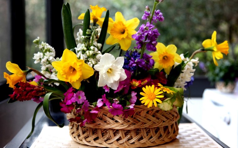 Композиция с нарциссами