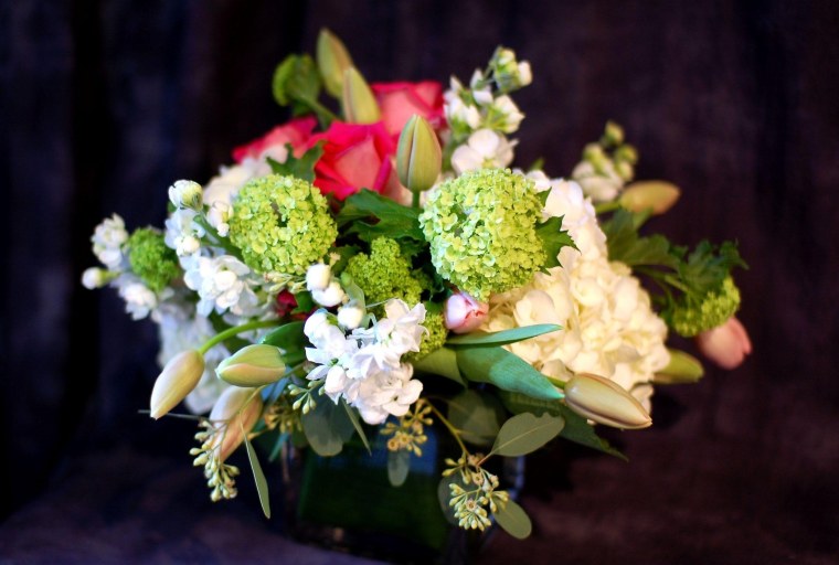 Гортензия флористика