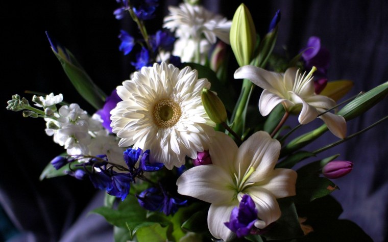 Вечерние цветы