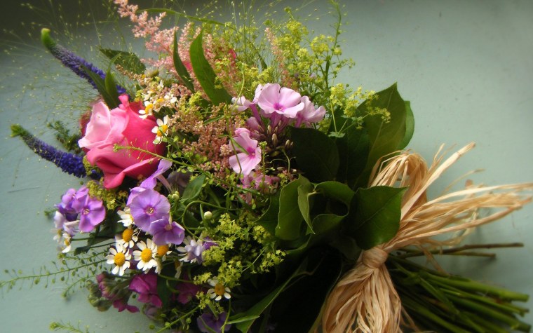 Цветы Флоксы букет