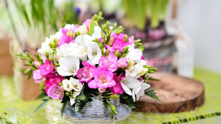 Фрезия цветок букет