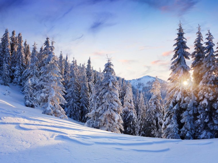 Красивая зима