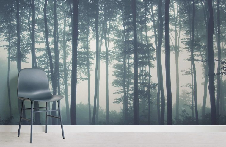 Фотообои туманный лес