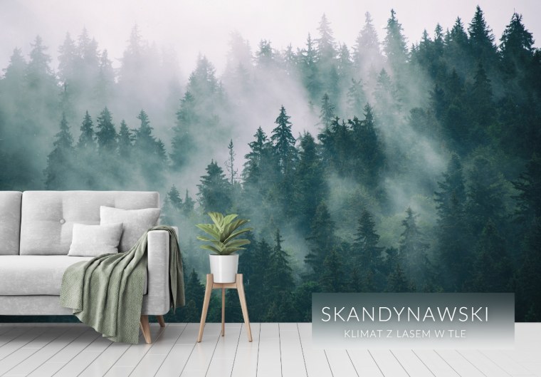 Фреска на стену лес в тумане