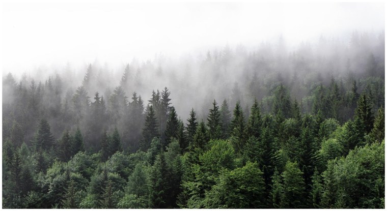 Мрачные картинки