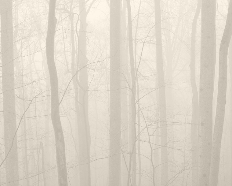 Туманный лес ikea