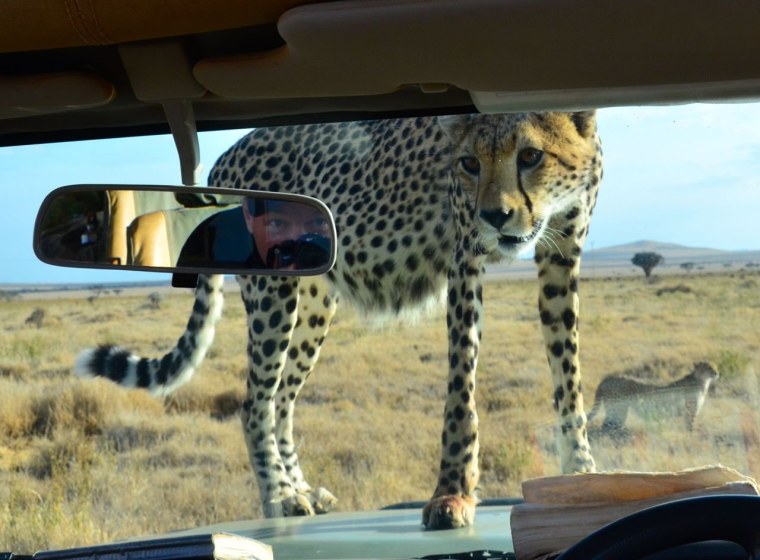 Гепард автомобиль