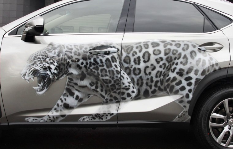 Аэрография на машине