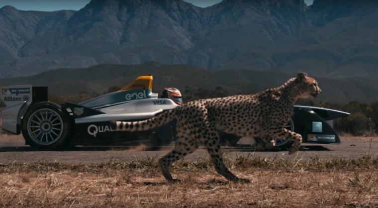 Маленький Львенок в машине