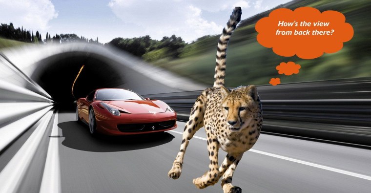 Реклама машины с гепардом