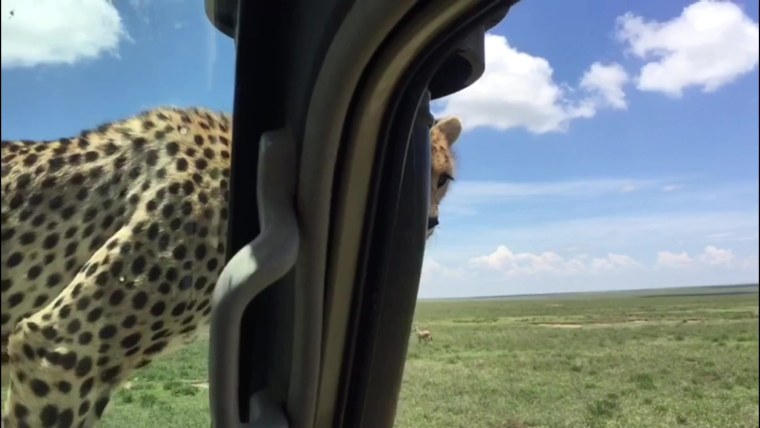 Арабский Шейх с калашом