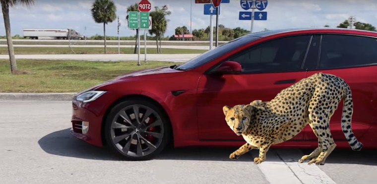 Реклама машины с гепардом