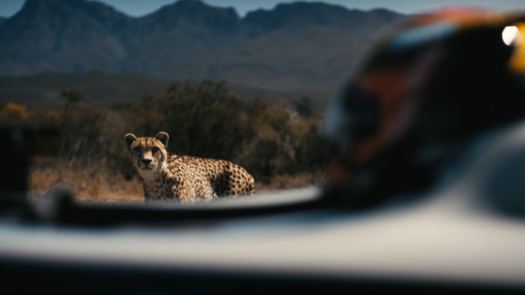 Джастин Бибер — Audi r8