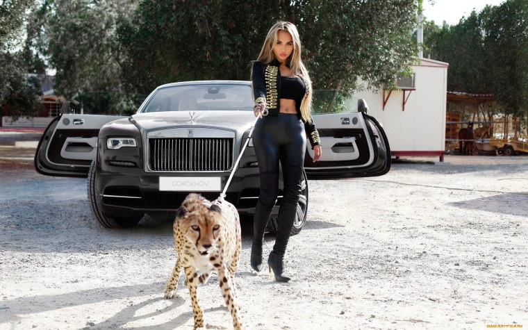 Винилография сафари стиль