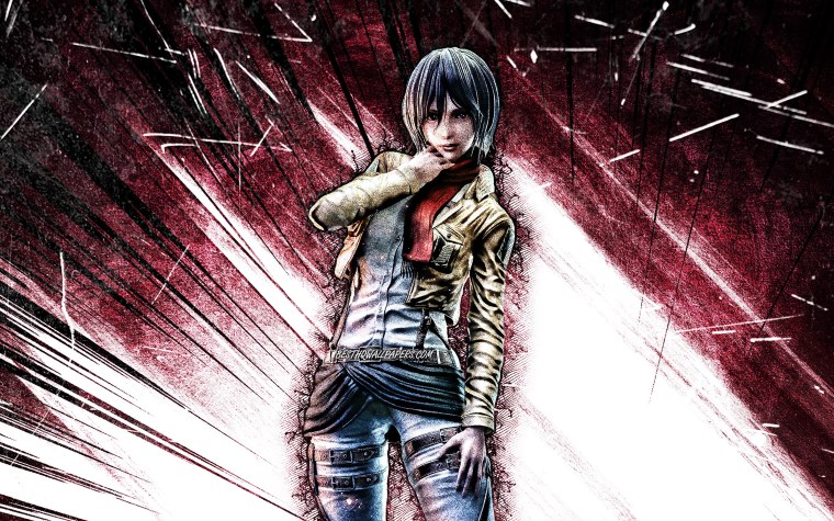 Микаса Аккерман с клинками