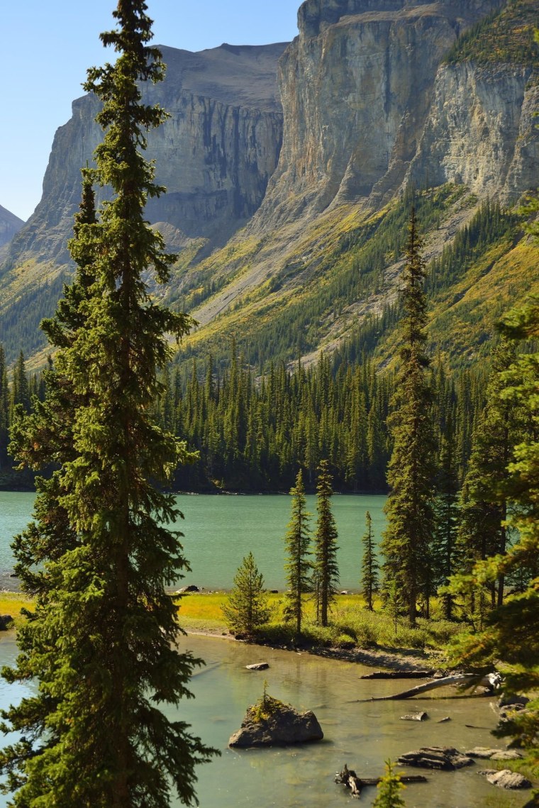 Зеленая природа