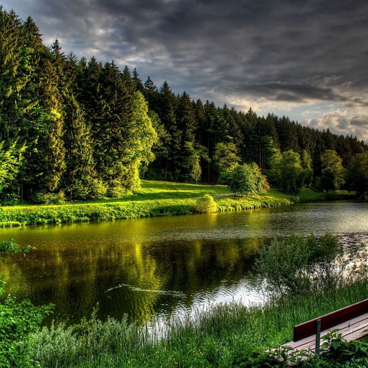 Природа по вертикали