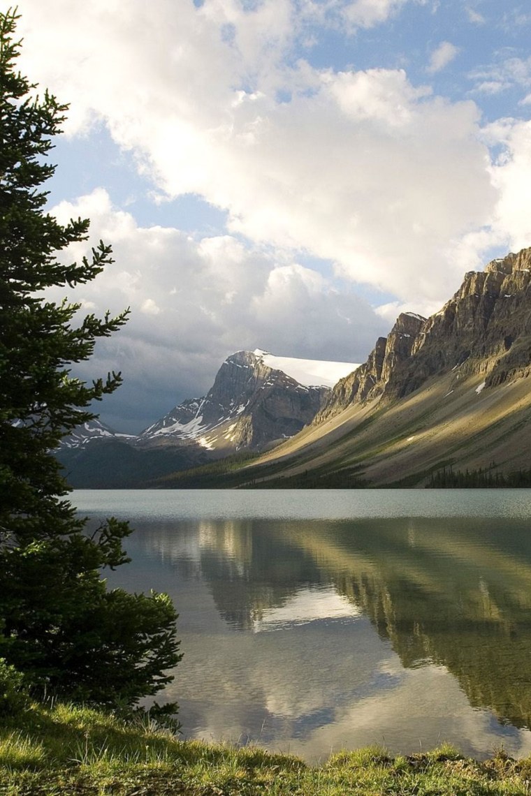 Тайга Северной Америки