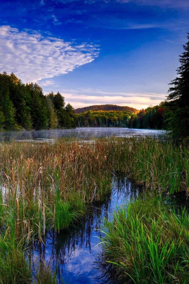 Красота природы