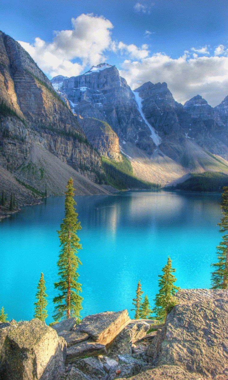 Тайга Северной Америки