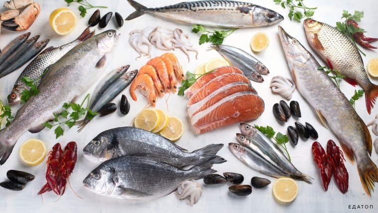Рыба и морепродукты