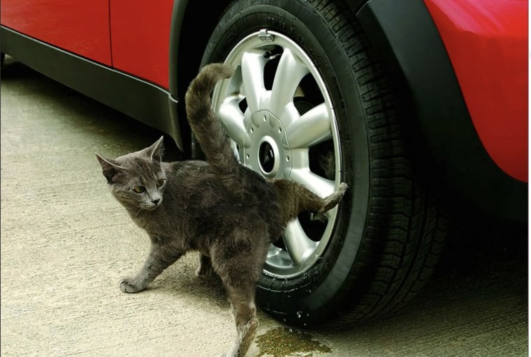 Пометить территорию