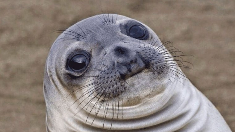 Цитаты на машину наклейки