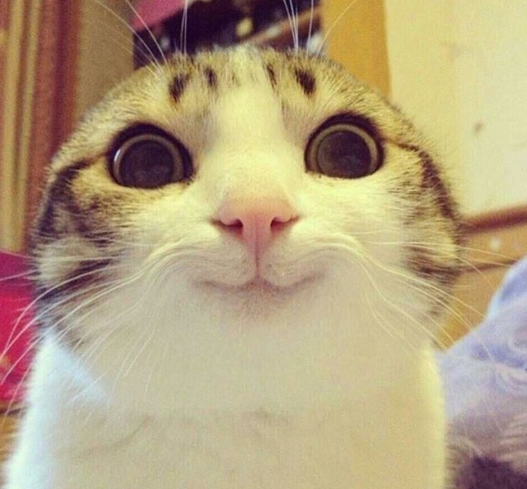 Машина не предаст