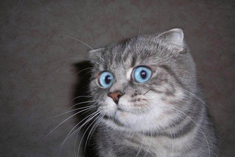 Человек обнимает машину