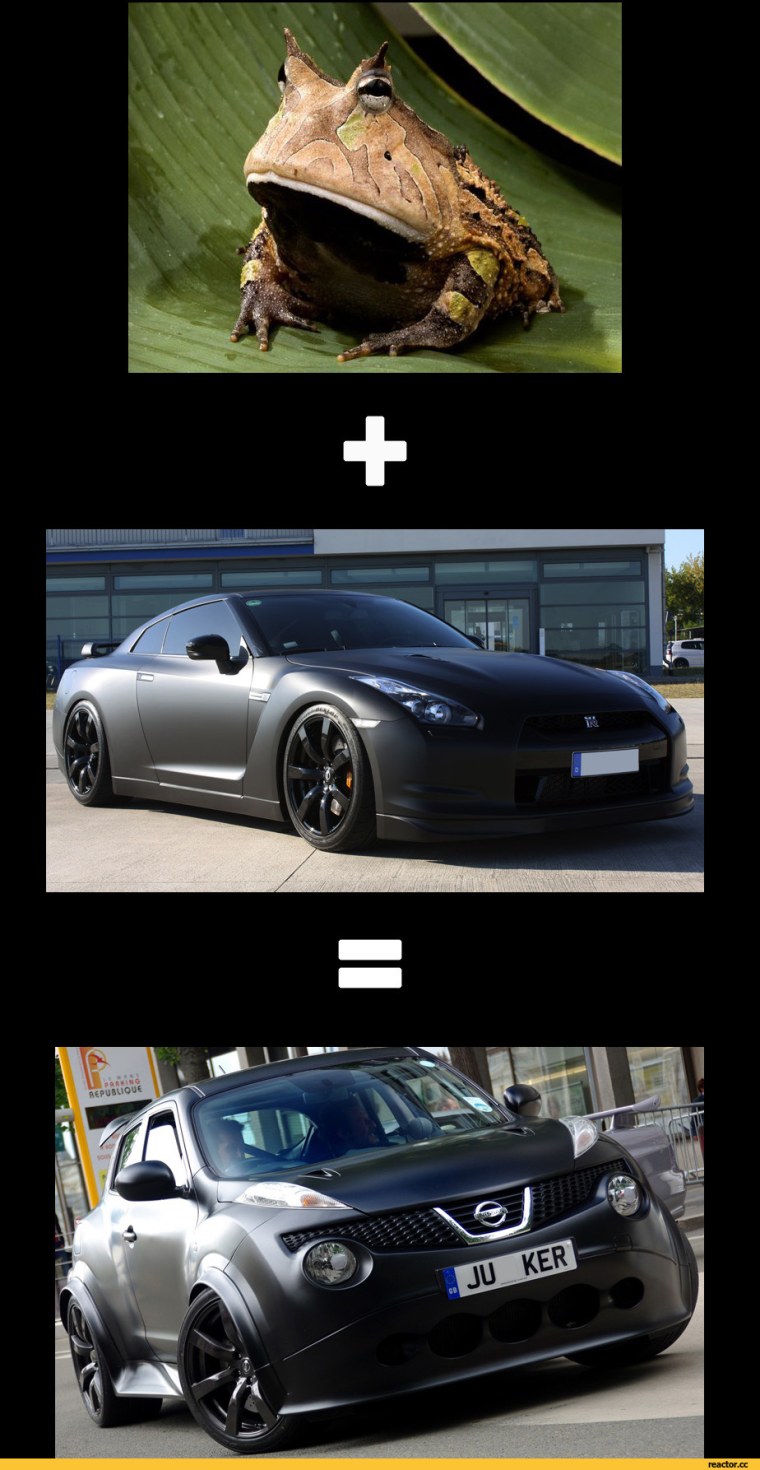 Наглая собака