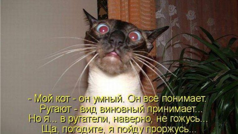 Спорткары Nissan GTR Black