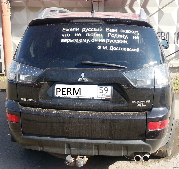 Смешной верблюд