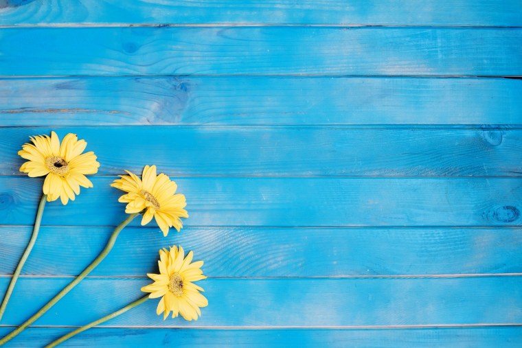 Желтое поле голубое небо