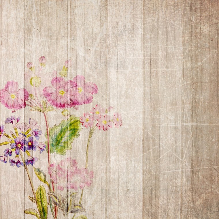 Фон Прованс