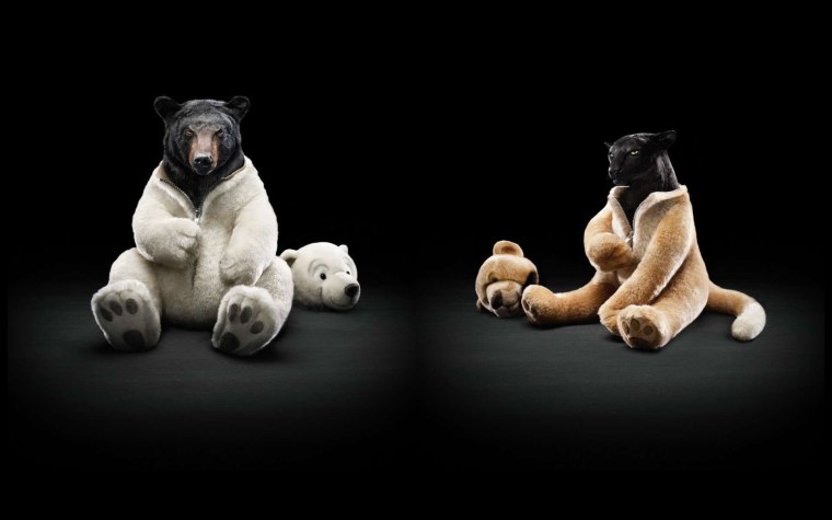 Обои на рабочий стол прикольные