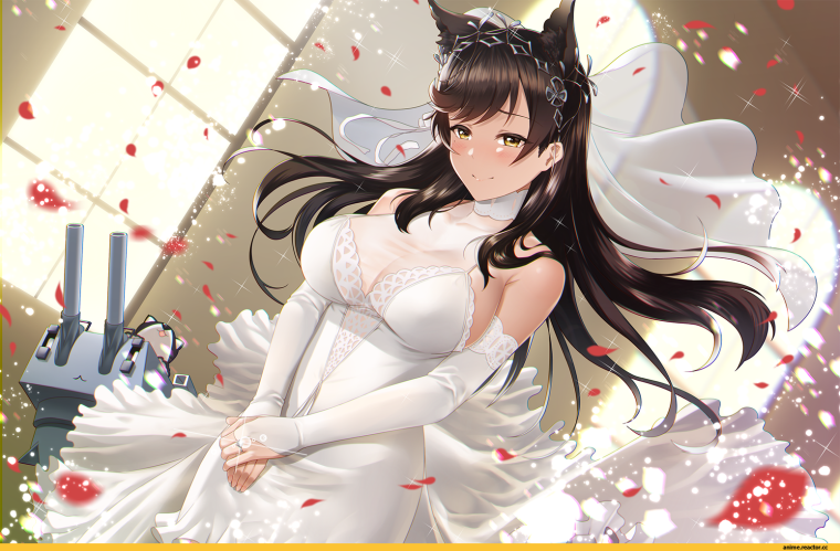 Кошка девочка