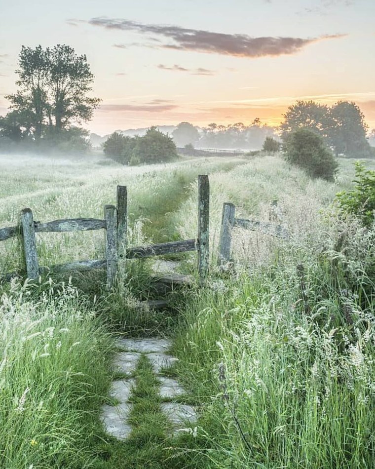 Деревенский пейзаж